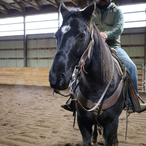 Humberstone Ranch Port Colborne